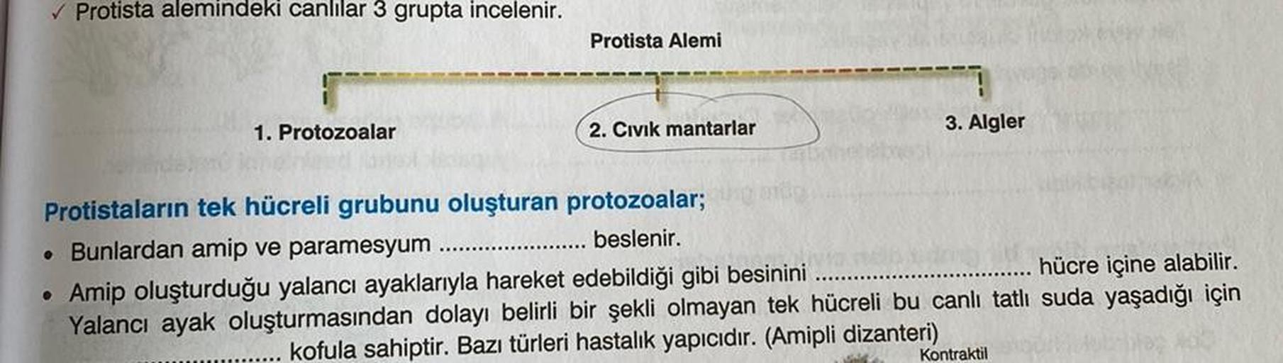 ✓ Protista alemindeki canlılar 3 grupta incelenir.
Protista Alemi
1. Protozoalar
2. Civik mantarlar
3. Algler
Protistaların tek hücreli grubunu oluşturan protozoalar;
beslenir.
. Bunlardan amip ve paramesyum
hücre içine alabilir.
●
Amip oluşturduğu yalancı