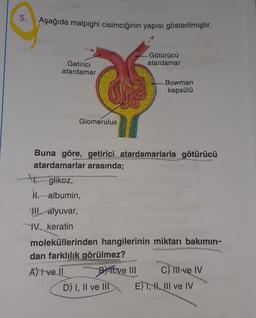 5. Aşağıda malpighi cisimciğinin yapısı gösterilmiştir.
mari
of fisip
Götürücü
atardamar
Getirici
atardamar
Bowman
kapsülü
10m2/
onlar ha
Glomerulus
Buna göre, getirici atardamarlarla götürücü
atardamarlar arasında;
glikoz,
Nalbumin,
III. alyuvar,
IV keratin
moleküllerinden hangilerinin miktarı bakımın-
dan farklılık görülmez?
A) I ve II
Bive III
C) lit ve IV
D) I, II ve III
E) I, II, III ve IV