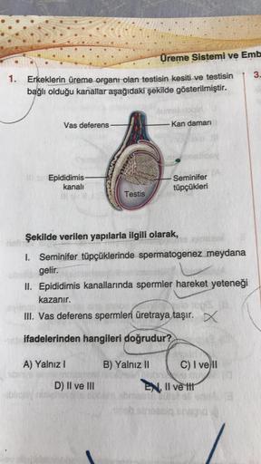 Üreme Sistemi ve Emb
3.
1.
Erkeklerin üreme organı olan testisin kesiti ve testisin
bağlı olduğu kanallar aşağıdaki şekilde gösterilmiştir.
Vas deferens-
Kan damarı
Epididimis-
kanalı
Seminifer
tüpçükleri
Testis
Şekilde verilen yapılarla ilgili olarak,
1. 