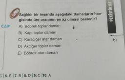 O
CAP A) Böbrek toplar damarı
B) Kapı toplar damarı
C) Karaciğer atar damarı
D) Akciğer toplar damarı
E) Böbrek atar damarı
Sağlıklı bir insanda aşağıdaki damarların han-
gisinde üre oranının en az olması beklenir?
C 6. E 7.B 8.D 9.C 10. A
PEKİŞTİRME
61