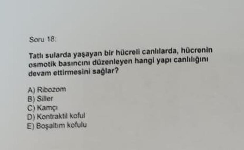 Soru 18:
Tatlı sularda yaşayan bir hücreli canlılarda, hücrenin
osmotik basıncını düzenleyen hangi yapı canlılığını
devam ettirmesini sağlar?
A) Ribozom
B) Siller
C) Kamçı
D) Kontraktil koful
E) Boşaltım kofulu