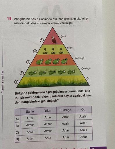 Yanıt Yayınları
AA
18. Aşağıda bir besin zincirinde bulunan canlıların ekoloji pi-
ramidindeki dizilişi şematik olarak verilmiştir.
usuvieY
sv uzup
Şahin
1 1 1
3
Çekirge
Ot
Bölgede çekirgelerin aşırı çoğalması durumunda, eko-
loji piramidindeki diğer canlı