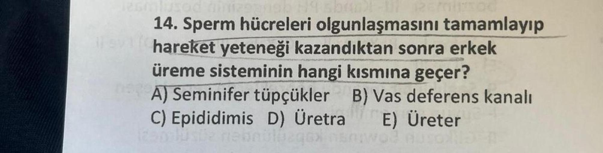 esmlusod Menue
14. Sperm hücreleri olgunlaşmasını tamamlayıp
hareket yeteneği kazandıktan sonra erkek
üreme sisteminin hangi kısmına geçer?
A) Seminifer tüpçükler B) Vas deferens kanalı
C) Epididimis D) Üretra E) Üreter