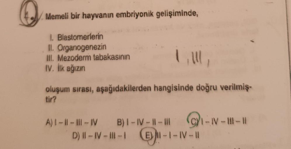 Memeli bir hayvanın embriyonik gelişiminde,
1. Blastomerlerin
II. Organogenezin
III. Mezoderm tabakasının
IV. İlk ağızın
oluşum sırası, aşağıdakilerden hangisinde doğru verilmiş-
tir?
A) |-||-||-|V B) 1-IV-||-||-|-|-|
D) II-IV-III-I El-1-IV-11