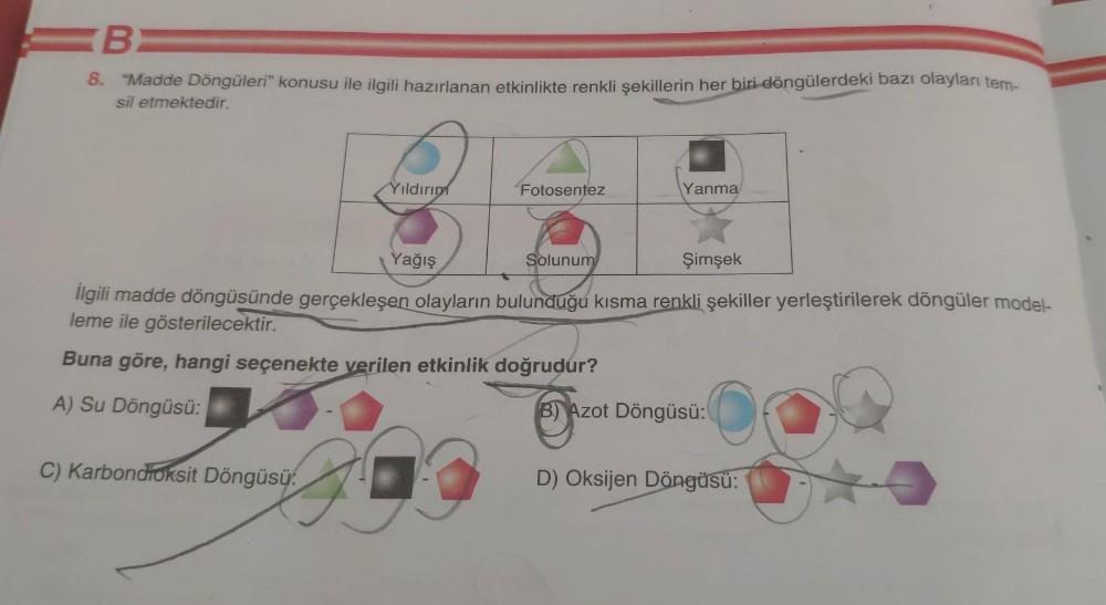 B
8. "Madde Döngüleri” konusu ile ilgili hazırlanan etkinlikte renkli şekillerin her biri döngülerdeki bazı olayları tem-
sil etmektedir.
Yıldırım
Fotosentez
Yanma
Yağış
Solunum
Şimşek
İlgili madde döngüsünde gerçekleşen olayların bulunduğu kısma renkli şe