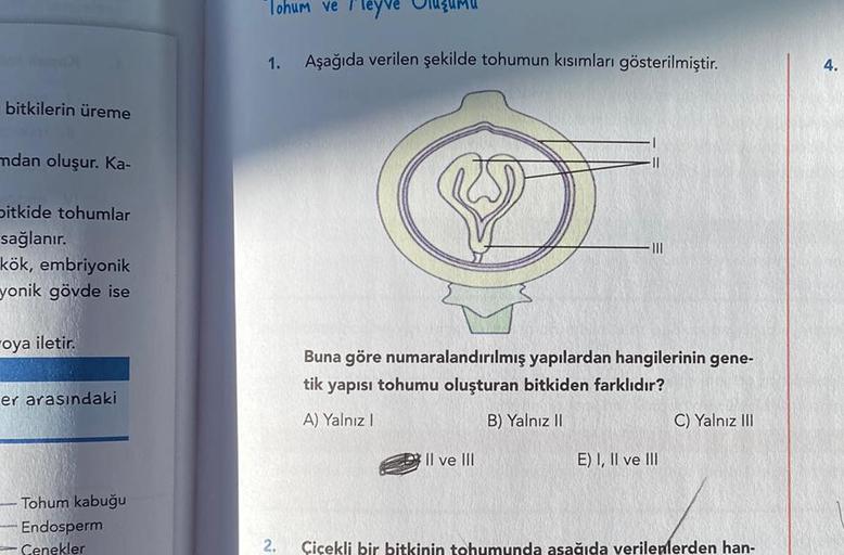 bitkilerin üreme mdan oluşur. Ka bitkide tohumlar Biyoloji bitkilerin üreme mdan oluşur. Ka bitkide tohumlar Biyoloji