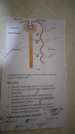 Getirici damar
Götürücü damar
Glomerulus
Bowman kapsülü
sizilme
griemn
Nefron kanalı
Kılcal damar
sølgiler
-İdrar
Yukarıdaki şekilde sağlıklı bir insanın nefronunda idrar
oluşumu özetlenmiştir.
Buna göre,
I. Kandaki miktarı eşik değerin üzerinde bulunan
bir madde için 2 numaralı olayın gerçekleşmesi
beklenmez.
II. Kandaki miktarı eşik değerin altında olan bir
madde için 2 numaralı olayın normalden fazla
gerçekleşmesi beklenir.
X
III. İdrarla atılabilecek bir maddenm geri emilim
miktarı, süzülme miktarına eşitse o maddeye
idrarda kesinlikle rastlanmaz.
ifadelerinden hangileri doğrudur?
A) Yalnız
B) Yalnız II
I've 11
E) Ie III
2
sobila
gelebilir
C) Yalnız III