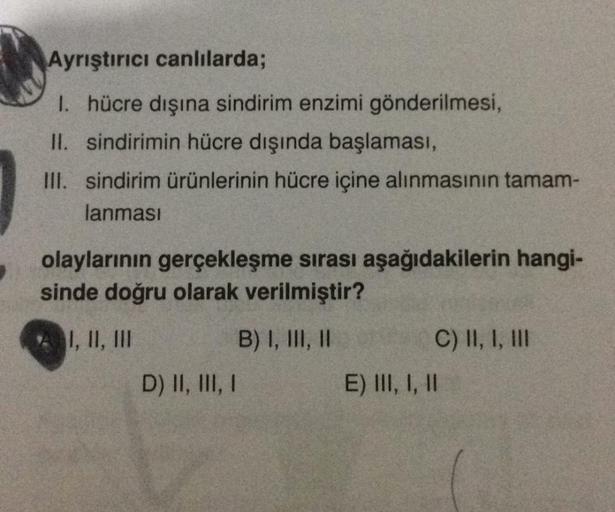 Ayrıştırıcı canlılarda;
1. hücre dışına sindirim enzimi gönderilmesi,
II. sindirimin hücre dışında başlaması,
III. sindirim ürünlerinin hücre içine alınmasının tamam-
lanması
olaylarının gerçekleşme sırası aşağıdakilerin hangi-
sinde doğru olarak verilmişt