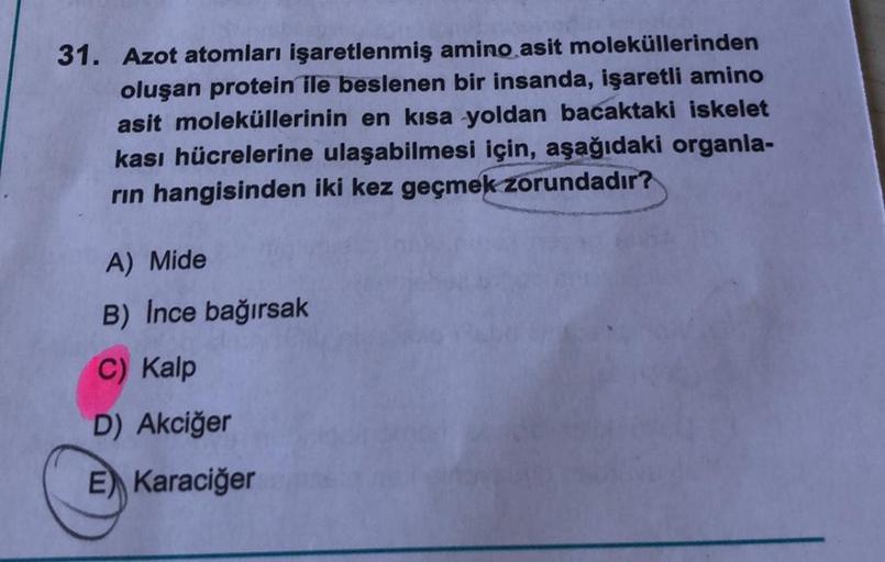 31. Azot atomları işaretlenmiş amino asit moleküllerinden
oluşan protein ile beslenen bir insanda, işaretli amino
asit moleküllerinin en kısa yoldan bacaktaki iskelet
kası hücrelerine ulaşabilmesi için, aşağıdaki organla-
rin hangisinden iki kez geçmek zor