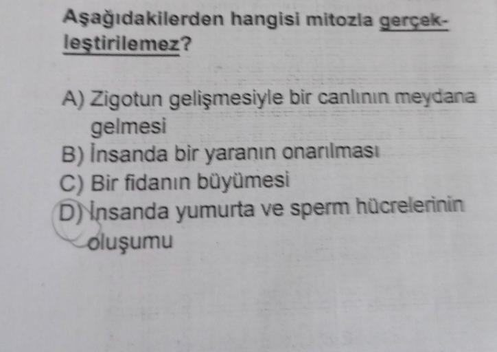 Aşağıdakilerden hangisi mitozla gerçek-
leştirilemez?
A) Zigotun gelişmesiyle bir canlının meydana
gelmesi
B) İnsanda bir yaranın onarılması
C) Bir fidanın büyümesi
D) Insanda yumurta ve sperm hücrelerinin
oluşumu