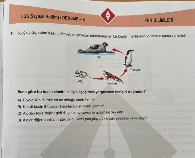 LGS (Sayısal Bölüm) / DENEME-6
FEN BİLİMLERİ
5. Aşağıda dışarıdan besine ihtiyaç duymadan sürdürülebilen bir beslenme ilişkisini gösteren şema verilmiştir.
Fok
Penguen
Alg
Karides
Buna göre bu besin zinciri ile ilgili aşağıdaki yargılardan hangisi doğrudur