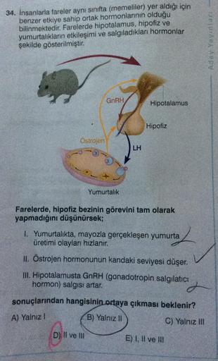 34. İnsanlarla fareler aynı sınıfta (memeliler) yer aldığı için
benzer etkiye sahip ortak hormonlarının olduğu
bilinmektedir. Farelerde hipotalamus, hipofiz ve
yumurtalıkların etkileşimi ve salgıladıkları
şekilde gösterilmiştir.
hormonlar
GnRH
Hipotalamus
