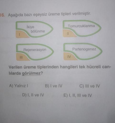 16. Aşağıda bazı eşeysiz üreme tipleri verilmiştir.
İkiye
Tomurcuklanma
bölünme
11
Rejenerasyon
Partenogenez
IV
Verilen üreme tiplerinden hangileri tek hücreli can-
lılarda görülmez?
A) Yalnız I
B) I ve IV
C) III ve IV
D) I, II ve IV
E) I, II, III ve IV