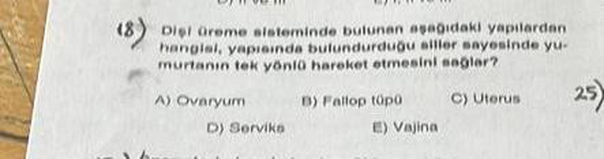 (8) Diel üreme sisteminde bulunan aşağıdaki yapılardan
hangisi, yapısında bulundurduğu ailler sayesinde yu-
murtanın tek yönlü hareket etmesini sağlar?
A) Ovaryum
B) Fallop tüpü
C) Uterus.
25)
D) Serviks
E) Vajina