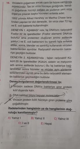 16. Virüslerin çoğalması ancak canlı bir hücre varlığında
mümkündür. Tek bir virüs hücreye girdiğinde, kendi-
ni çoğaltarak hücreyi patlatır ve yüzlerce yeni virüs
dışarıya çıkarak başka hücreleri enfekte eder.
1952 yılında Alfred Hershey ve Martha Chase t