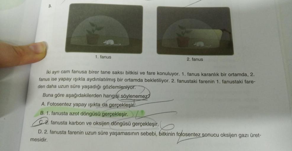 3.
1. fanus
2. fanus
İki ayrı cam fanusa birer tane saksı bitkisi ve fare konuluyor. 1. fanus karanlık bir ortamda, 2.
fanus ise yapay ışıkla aydınlatılmış bir ortamda bekletiliyor. 2. fanustaki farenin 1. fanustaki fare-
den daha uzun süre yaşadığı gözlem