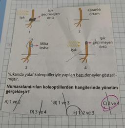 Işık
Işık
geçirmeyen
örtü
2
Karanlık
ortam
Işık
geçirmeyen
örtü
Mika
levha
Işık
3
4
Yukarıda yulaf koleoptilleriyle yapılan bazı deneyler gösteril-
miştir.
Numaralandırılan koleoptillerden hangilerinde yönelim
gerçekleşir?
A) 1 ve 2
B) 1 ve 3
C) R ve A
D) 3 ye 4
E) 1, 2 ve 3