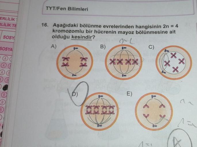 ERLİLİK
RLİLİK TE
SOSY
SOSYA
A
06
TYT/Fen Bilimleri
16. Aşağıdaki bölünme evrelerinden hangisinin 2n = 4
kromozomlu bir hücrenin mayoz bölünmesine ait
olduğu kesindir?
A)
B)
C)
** **
E)
Ks
k s
D)
KHHH
HHHH
8
X X
X
X