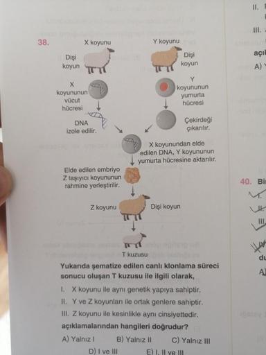 38.
X koyunu
Y koyunu
Dişi
koyun
X
koyununun
vücut
hücresi
Dişi
koyun
Y
koyununun
yumurta
hücresi
DNA
izole edilir.
Çekirdeği
çıkarılır.
X koyunundan elde
edilen DNA, Y koyununun
yumurta hücresine aktarılır.
Elde edilen embriyo
Z taşıyıcı koyununun
rahmine