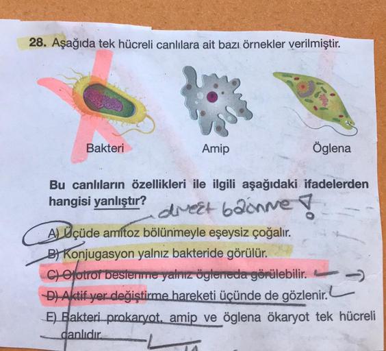 28. Aşağıda tek hücreli canlılara ait bazı örnekler verilmiştir.
Bakteri
Amip
Öglena
Bu canlıların özellikleri ile ilgili aşağıdaki ifadelerden
hangisi yanlıştır?
divect bachne !
A) Üçüde amitoz bölünmeyle eşeysiz çoğalır.
B) Konjugasyon yalnız bakteride g