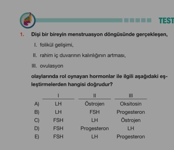 TEST 1. Dişi bir bireyin menstruasyon döngüsünde ge… Biyoloji TEST 1. Dişi bir bireyin menstruasyon döngüsünde ge… Biyoloji