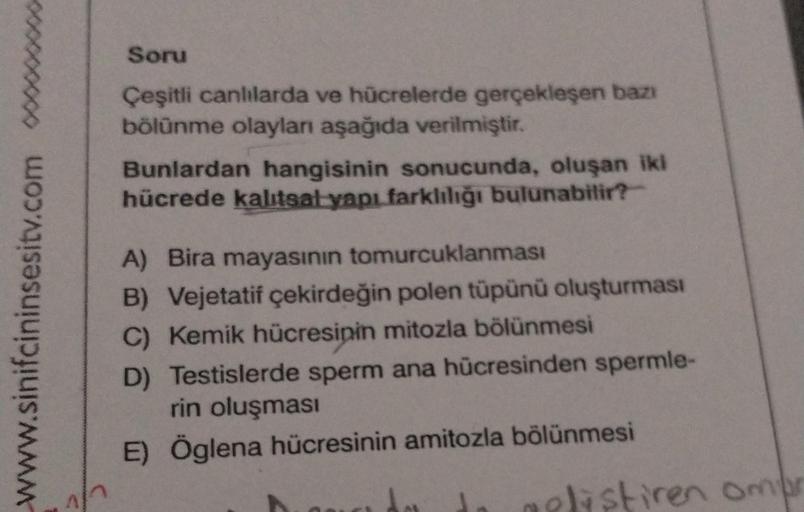 www.sinifcininsesitv.com 0000
Soru
Çeşitli canlılarda ve hücrelerde gerçekleşen bazı
bölünme olayları aşağıda verilmiştir.
Bunlardan hangisinin sonucunda, oluşan iki
hücrede kalıtsal yapı farklılığı bulunabilir?
A) Bira mayasının tomurcuklanması
B) Vejetat