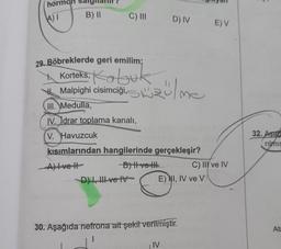 hor
4)T
B) II
C) III
29. Böbreklerde geri emilim;
D) IV
Korteks, Kabuk
Malpighi cisimciği, me
III. Medulla,
IV. Idrar toplama kanalı,
V. Havuzcuk
kısımlarından hangilerinde gerçekleşir?
Alvett
-B) Hve H
D) I, III ve IV
E) NI, IV ve V
30. Aşağıda nefrona ait şekil verilmiştir.
IV
E) V
C) II ve IV
32. Aşad
rilmis
Ata