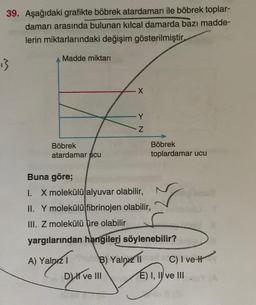 39. Aşağıdaki grafikte böbrek atardamarı ile böbrek toplar-
damarı arasında bulunan kılcal damarda bazı madde-
lerin miktarlarındaki değişim gösterilmiştir.
A Madde miktarı
13
X
Z
Böbrek
atardamar picu
Böbrek
toplardamar ucu
Buna göre;
I. X molekülü alyuvar olabilir,
✓
II. Y molekülü fibrinojen olabilir,
III. Z molekülü üre olabilir
yargılarından hangileri söylenebilir?
A) Yalnız I
3) Yalnız 11
D) ve III
C) I ve H
E) I, II ve III