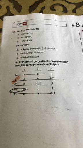 AYT 04
32. Bir bitki hücresinde;
1. sitoplazma,
II. kloroplast,
III. mitokondri
yapılarında;
a. substrat düzeyinde fosforilasyon,
b. oksidatif fosforilasyon,
c. fotofosforilasyon
ile ATP sentezi gerçekleşenler aşağıdakilerin
hangisinde doğru olarak verilmi