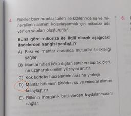 4.
Bitkiler bazı mantar türleri ile köklerinde su ve mi-
nerallerin alımını kolaylaştırmak için mikoriza adı
verilen yapıları oluştururlar.
Buna göre mikoriza ile ilgili olarak aşağıdaki
ifadelerden hangisi yanlıştır?
A) Bitki ve mantar arasında mutualist birlikteliği
sağlar.
B) Mantar hifleri kökü dıştan sarar ve toprak içleri-
ne uzanarak emilim yüzeyini artırır.
C) Kök korteks hücrelerinin arasına yerleşir.
D) Mantar hiflerinin bitkiden su ve mineral alımını
kolaylaştırır.
E) Bitkinin inorganik besinlerden faydalanmasını
sağlar.
6. E