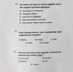 14.
Normalden hızlı koşan bir insanda aşağıdaki olaylar-
dan hangisinin görülmesi beklenmez?
A) Kan dolaşımının hızlanması
B) Terlemenin artması
C) Kan pH'sinin yükselmesi
D) Soluk alıp vermenin hızlanması
E) Kania taşınan oksijen miktannin artmas
Insan idranında bulunan ürenin sentezlendiği organ
aşağıdakilerden hangisidir?
A) Böbrek
B) Akcijer
C) Mide
D) Dalak
E) Karaciger
Süzüntü içerisinde bulunan aşağıdaki moleküllerden
hangisinin geri emilimi olmaz?
A) Amino asit
B) Kreatinin
C) Sodyum
D) Üre
E) Vitamin
15.
16.