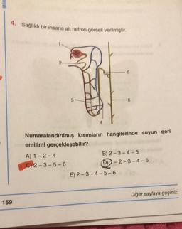 MIR
4. Sağlıklı bir insana ait nefron görseli verilmiştir.
3
6
4
Numaralandırılmış kısımların hangilerinde suyun geri
emilimi gerçekleşebilir?
A) 1-2-4
B) 2-3-4-5
C) 2-3-5-6
(D)-2-3-4-5
159
E) 2-3-4-5-6
Diğer sayfaya geçiniz.