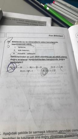 por op je pipi da
in
der
31. Bitkilerde su ve minerallerin odun borularında
taşınmasında etkili;
O
I. terleme,
II.
kök basıncı,
III. kılcallık - adezyon
faktörlerinden en çok etkili olandan en az etkili olana
doğru sıralanışı aşağıdakilerden hangisinde doğru
verilmiştir?
-
B) I-II-II
C) 11-1-111
D) II-11-1
E-1-11
Abr
bu
Fen Bilimleri
C
10
. Aşağıdaki şekilde bir sarmaşık bitkisinin yanındaki cism
tendrilleri ile tutunarak ona doğru yönelmesi gösterilmiş