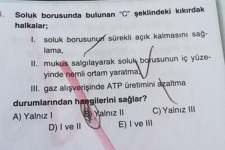 Soluk borusunda bulunan "C" şeklindeki kıkırdak
halkalar;
1. soluk borusunun sürekli açık kalmasını sağ-
lama,
II. mukus salgılayarak soluk borusunun iç yüze-
yinde nemli ortam yaratma
III. gaz alışverişinde ATP üretimini azaltma
durumlarından hangilerini