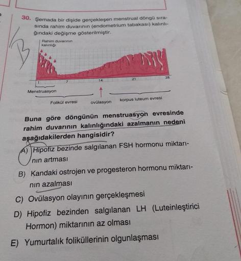 30. Şemada bir dişide gerçekleşen menstrual döngü sıra-
sında rahim duvarının (endometrium tabakası) kalınlı-
ğındaki değişme gösterilmiştir.
Rahim duvarının
kalınlığı
MY
21
28
Menstruasyon
Folikül evresi
ovülasyon
korpus luteum evresi
Buna göre döngünün m