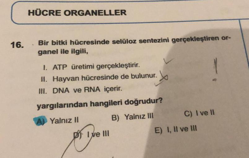 16. HÜCRE ORGANELLER Bir bitki hücresinde selüloz s… Biyoloji 16. HÜCRE ORGANELLER Bir bitki hücresinde selüloz s… Biyoloji
