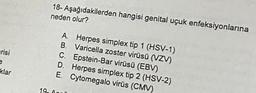 erisi
e
klar
1.9.
18- Aşağıdakilerden hangisi genital uçuk enfeksiyonlarına
neden olur?
A. Herpes simplex tip 1 (HSV-1)
B. Varicella zoster virüsü (VZV)
C. Epstein-Bar virüsü (EBV)
D. Herpes simplex tip 2 (HSV-2)
E. Cytomegalo virüs (CMV)