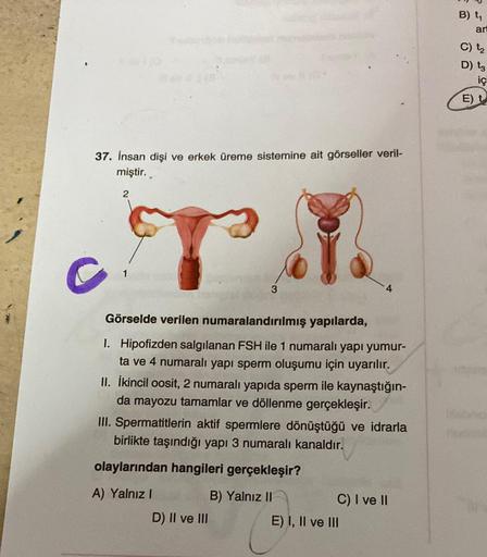 37. İnsan dişi ve erkek üreme sistemine ait görseller veril-
miştir.
2
TI
4
3
Görselde verilen numaralandırılmış yapılarda,
I. Hipofizden salgılanan FSH ile 1 numaralı yapı yumur-
ta ve 4 numaralı yapı sperm oluşumu için uyarılır.
II. İkincil oosit, 2 numa