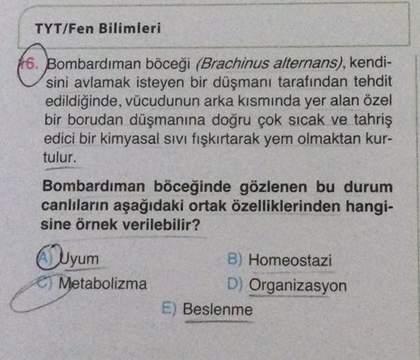 TYT/Fen Bilimleri
6. Bombardıman böceği (Brachinus alternans), kendi-
sini avlamak isteyen bir düşmanı tarafından tehdit
edildiğinde, vücudunun arka kısmında yer alan özel
bir borudan düşmanına doğru çok sıcak ve tahriş
edici bir kimyasal sıvı fışkırtarak 