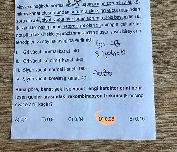 Meyve sineğinde normal kanat oluşumundan sorumlu alel, kö-
relmiş kanat oluşumundan sorumlu alele, gri vücut renginden
sorumlu alel, siyah vücut renginden sorumlu alele baskındır. Bu
iki karakter bakımından heterozigot olan dişi sineğin, çekinik fe-
notipl