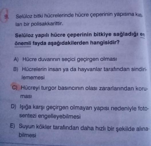 9.
Selüloz bitki hücrelerinde hücre çeperinin yapısına katı
lan bir polisakkarittir.
Selüloz yapılı hücre çeperinin bitkiye sağladığı en
önemli fayda aşağıdakilerden hangisidir?
A) Hücre duvarının seçici geçirgen olması
B) Hücrelerin insan ya da hayvanlar