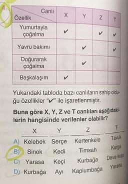 Özellik
Canlı
Yumurtayla
çoğalma
Yavru bakımı
Doğurarak
çoğalma
Başkalaşım
X
✓
Y
N
1
T
X
Y
Z
A) Kelebek Serçe
Kertenkele
B) Sinek Kedi Timsah
C) Yarasa
D) Kurbağa
>
Yukarıdaki tabloda bazı canlıların sahip oldu-
ğu özellikler "✔" ile işaretlenmiştir.
Keçi Kurbağa
Ayı
Kaplumbağa
>
Buna göre X, Y, Z ve T canlıları aşağıdaki-
lerin hangisinde verilenler olabilir?
T
Tavuk
Karga
Deve kuşu
Yarasa