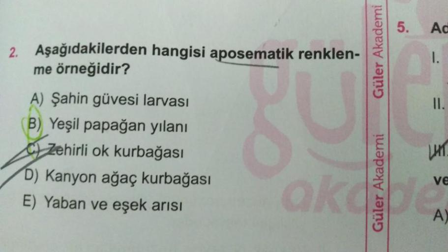 2. Aşağıdakilerden hangisi aposematik renklen-
me örneğidir?
A) Şahin güvesi larvasi
B) Yeşil papağan yılanı
CZehirli ok kurbağası
D) Kanyon ağaç kurbağası
E) Yaban ve eşek arısı
Güler Akademi
Güler Akademi
5.
Ad
1.
II.
LHT.
akade
A)