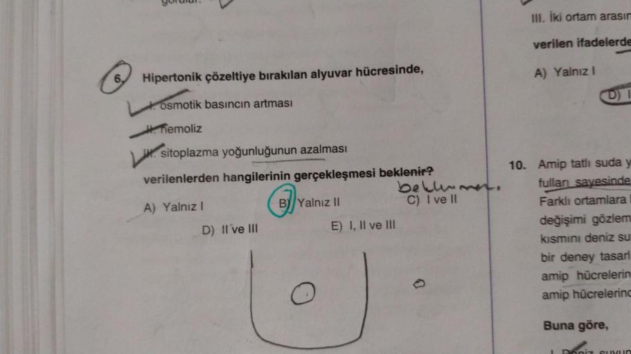 6.
Hipertonik çözeltiye bırakılan alyuvar hücresinde,
osmotik basıncın artması
H. hemoliz
sitoplazma yoğunluğunun azalması
verilenlerden hangilerinin gerçekleşmesi beklenir?
A) Yalnız I
D) II ve III
B) Yalnız II
O
E) I, II ve III
bellenme.
C) I ve II
10.
I