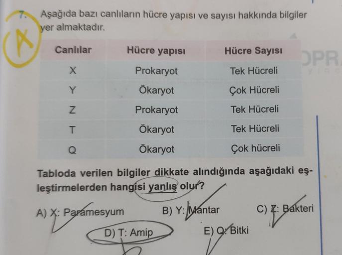 Aşağıda bazı canlıların hücre yapısı ve sayısı hakkında bilgiler
yer almaktadır.
Canlılar
X
Y
Z
T
Q
Hücre yapısıI
A) X: Paramesyum
Prokaryot
Ökaryot
Prokaryot
Ökaryot
Ökaryot
Tabloda verilen bilgiler dikkate alındığında aşağıdaki eş-
leştirmelerden hangisi