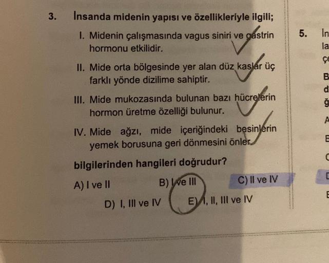 3.
Insanda midenin yapısı ve özellikleriyle ilgili;
I. Midenin çalışmasında vagus siniri ve gastrin
hormonu etkilidir.
II. Mide orta bölgesinde yer alan düz kaslar üç
farklı yönde dizilime sahiptir.
III. Mide mukozasında bulunan bazı hücrelerin
hormon üret