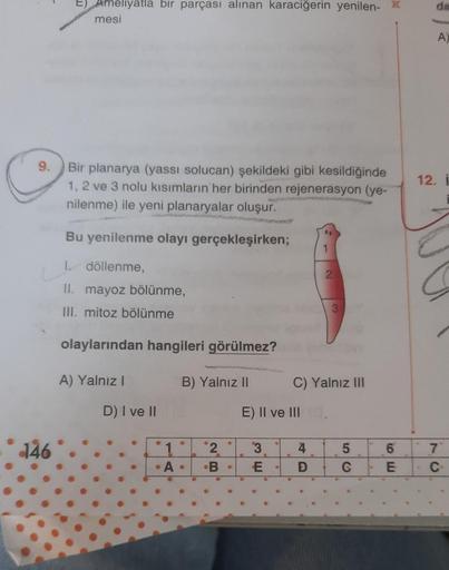 E) Ameliyatla bir parçası alınan karaciğerin yenilen- K
mesi
Bir planarya (yassı solucan) şekildeki gibi kesildiğinde
1, 2 ve 3 nolu kısımların her birinden rejenerasyon (ye-
nilenme) ile yeni planaryalar oluşur.
Bu yenilenme olayı gerçekleşirken;
I. dölle