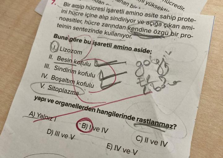 ücredir.
yüksektir
man bir
an
Bir amip hücresi işaretli amino asite sahip prote-
ini hücre içine alıp sindiriyor ve açığa çıkan ami-
noasitler, hücre zarından kendine özgü bir pro-
teinin sentezinde kullanıyor.
Buna göre bu işaretli amino aside;
I. Lizozom