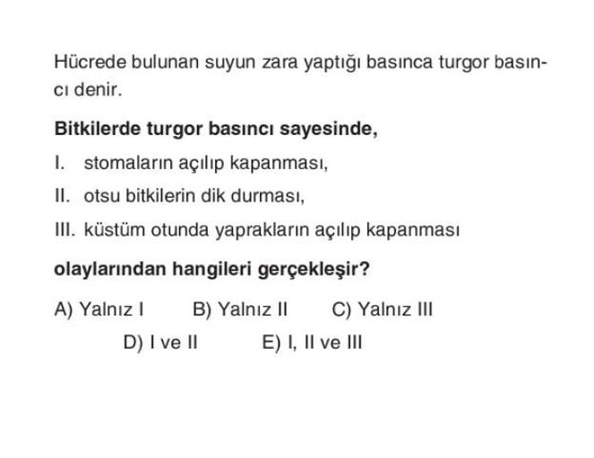 Hücrede bulunan suyun zara yaptığı basınca turgor b… Biyoloji Hücrede bulunan suyun zara yaptığı basınca turgor b… Biyoloji