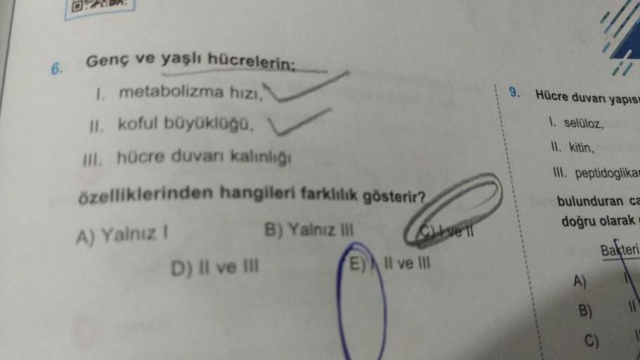 6. OPADA Genç ve yaşlı hücrelerin; 1. metabolizma h… Biyoloji 6. OPADA Genç ve yaşlı hücrelerin; 1. metabolizma h… Biyoloji